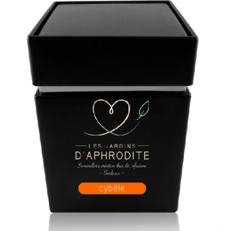 cybele-infusion-veggie-carotte-curry-gingembre-boite-metallique