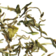 darjeeling-phugury-white-downy-luxury